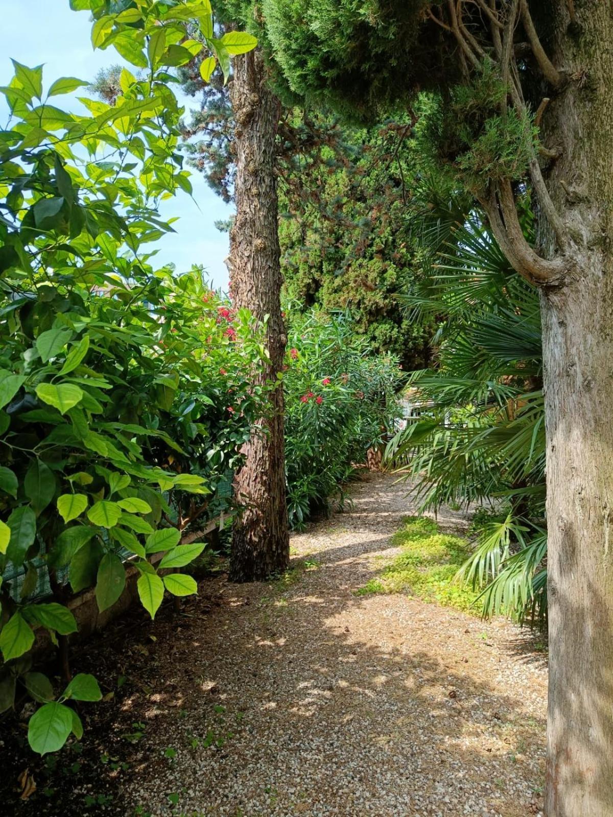 Casa Lucy Villa Bardolino Eksteriør billede